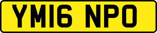 YM16NPO
