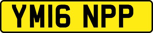 YM16NPP