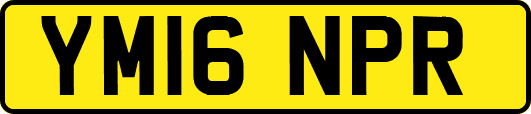 YM16NPR
