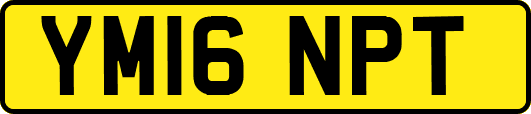 YM16NPT