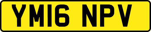 YM16NPV