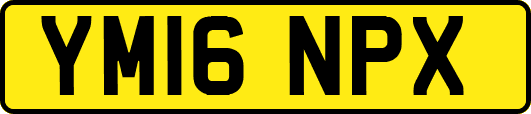 YM16NPX