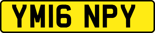 YM16NPY