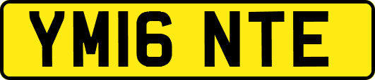 YM16NTE
