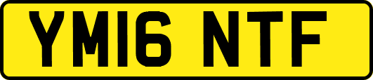 YM16NTF
