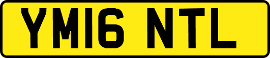 YM16NTL