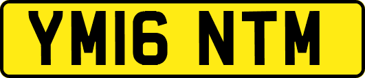 YM16NTM
