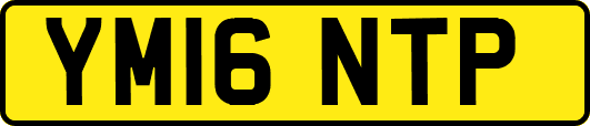 YM16NTP
