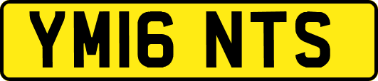 YM16NTS