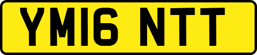 YM16NTT