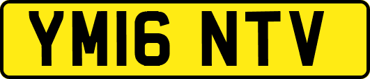 YM16NTV