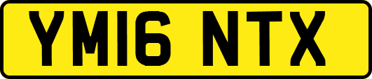 YM16NTX