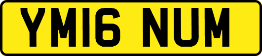 YM16NUM