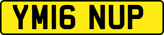YM16NUP