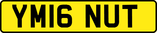 YM16NUT