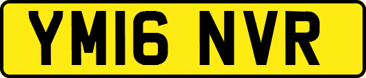 YM16NVR
