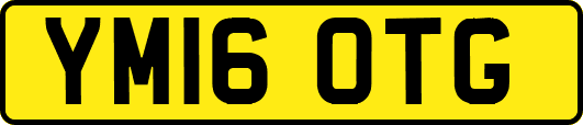 YM16OTG