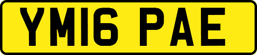 YM16PAE