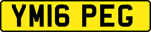 YM16PEG