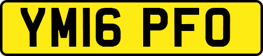 YM16PFO