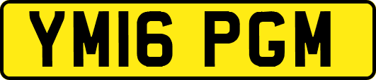 YM16PGM