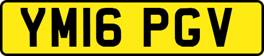 YM16PGV