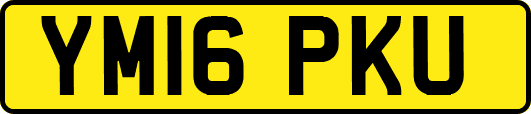 YM16PKU