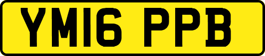 YM16PPB