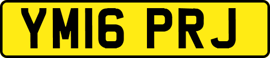 YM16PRJ