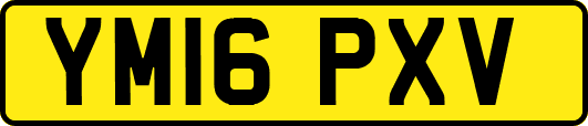 YM16PXV