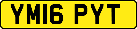 YM16PYT