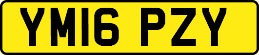 YM16PZY