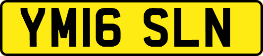 YM16SLN