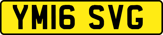 YM16SVG
