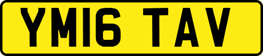 YM16TAV