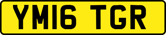 YM16TGR