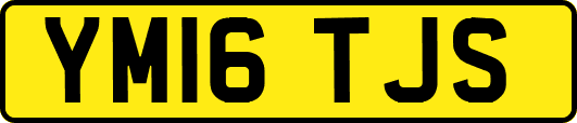 YM16TJS