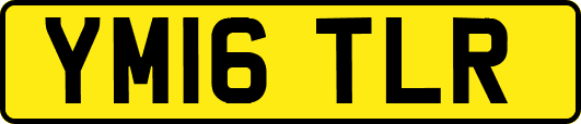 YM16TLR