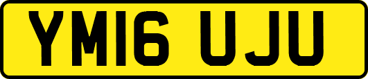 YM16UJU