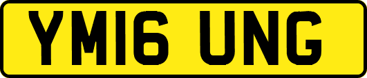 YM16UNG