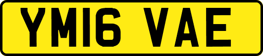 YM16VAE