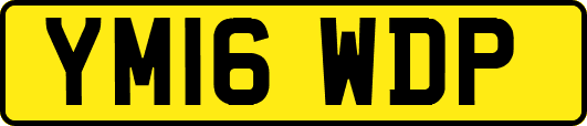 YM16WDP