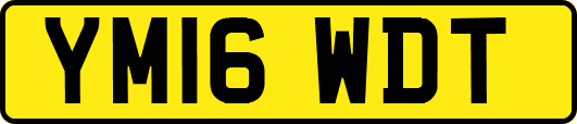 YM16WDT