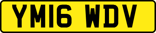 YM16WDV