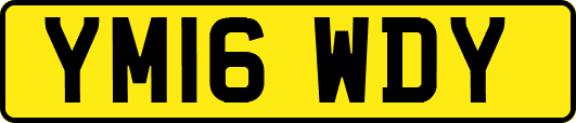 YM16WDY