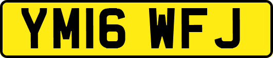 YM16WFJ