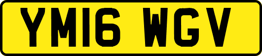 YM16WGV