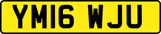 YM16WJU