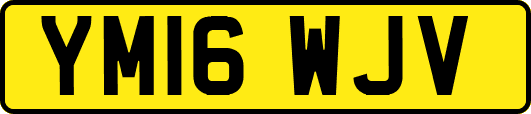 YM16WJV