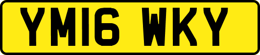 YM16WKY